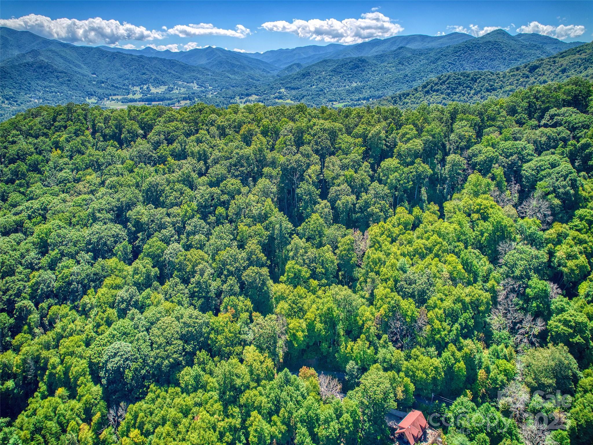 Lot at 00 Yellow Locust Drive, Waynesville, photo 13 of 16