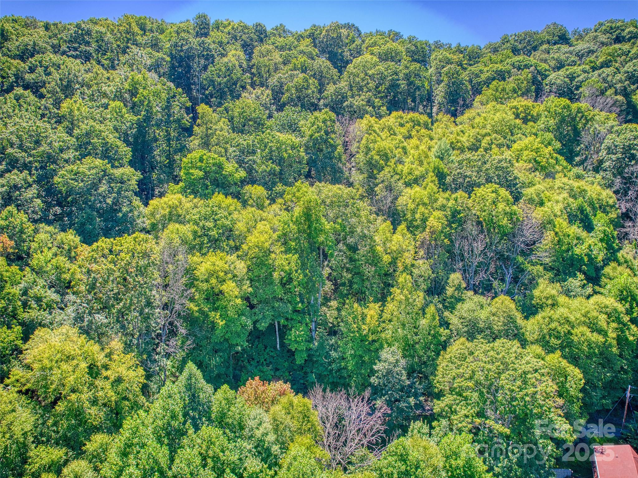 Lot at 00 Yellow Locust Drive, Waynesville, photo 14 of 16