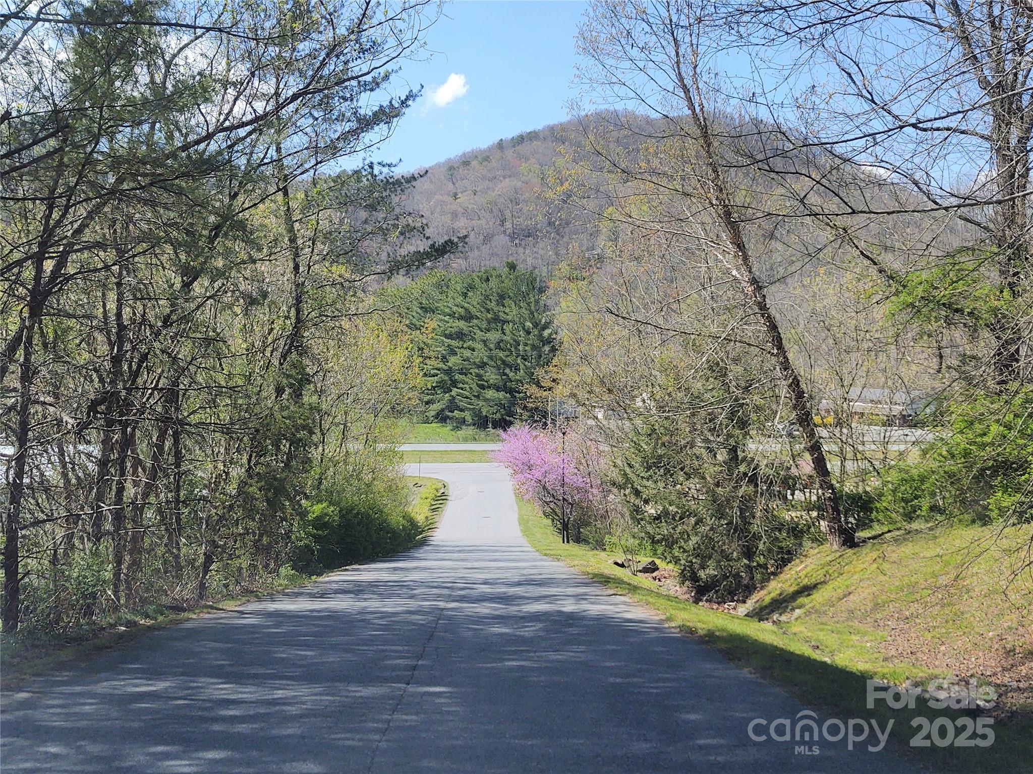 18 ft wide paved subd streets - 00 Tanner Trail, Waynesville