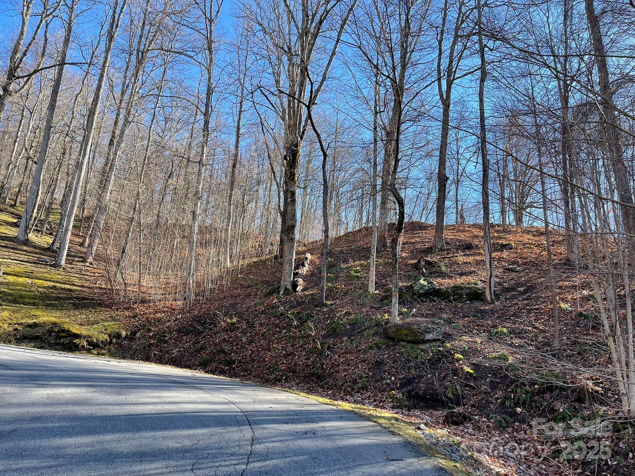 Lot at 00 Weatherwatch Lane, Waynesville, photo 2 of 10
