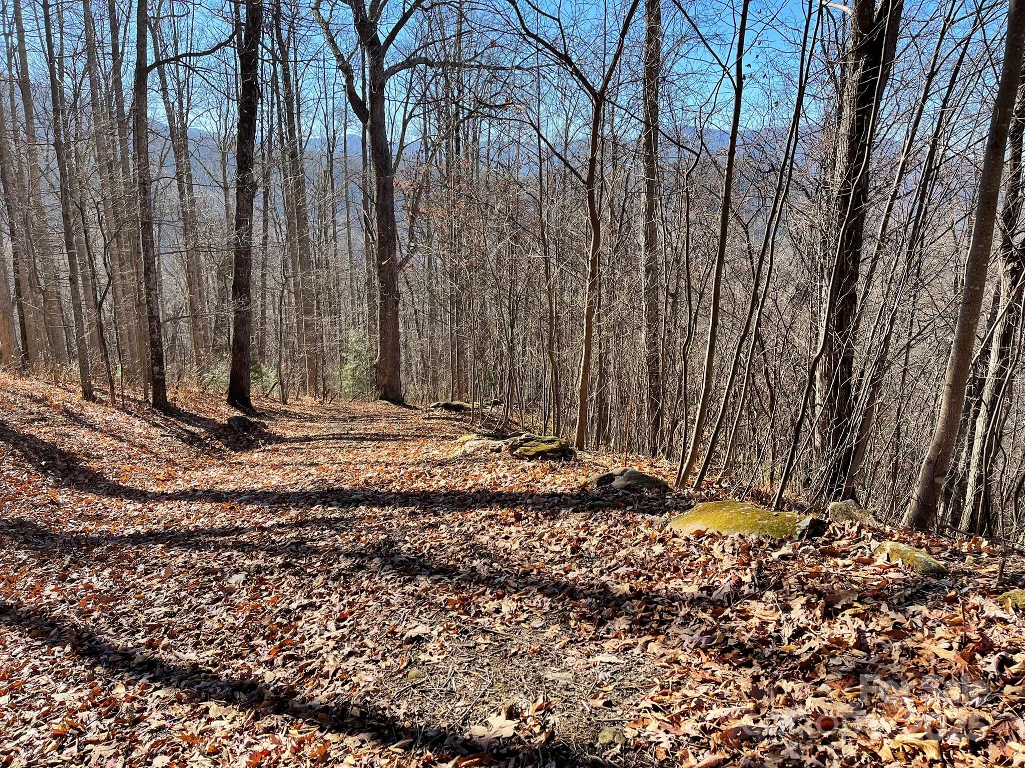 Lot at 00 Weatherwatch Lane, Waynesville, photo 3 of 10