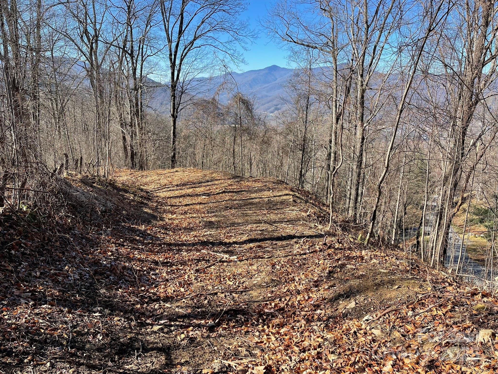 Lot at 00 Weatherwatch Lane, Waynesville, photo 4 of 10
