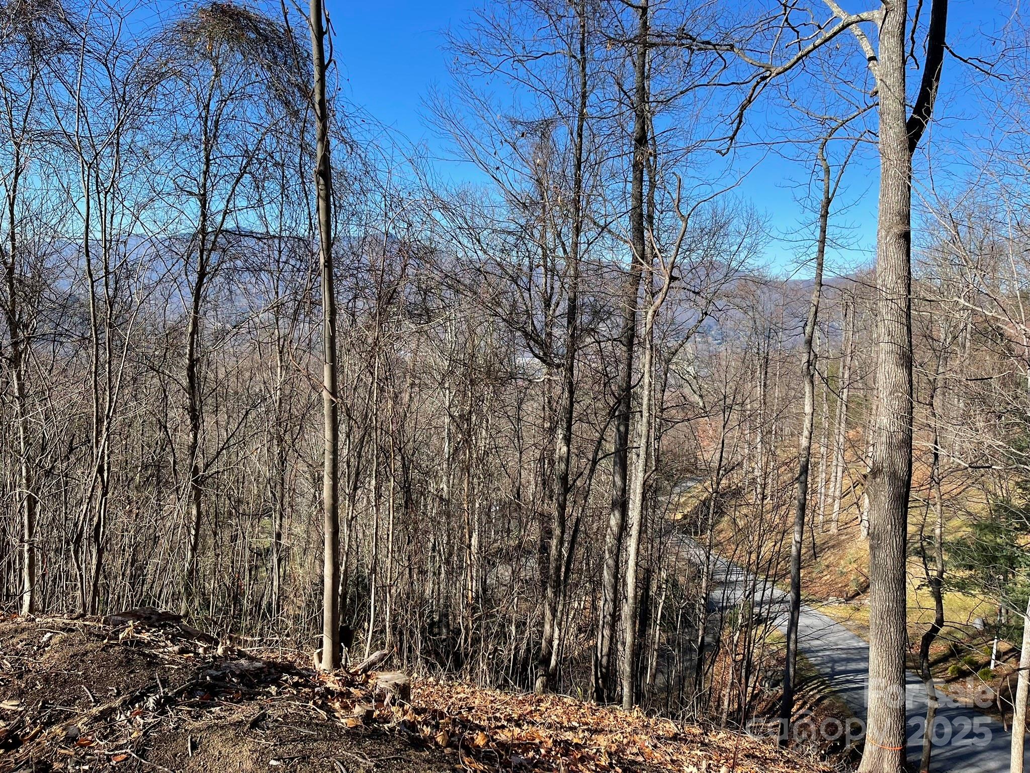 Lot at 00 Weatherwatch Lane, Waynesville, photo 6 of 10
