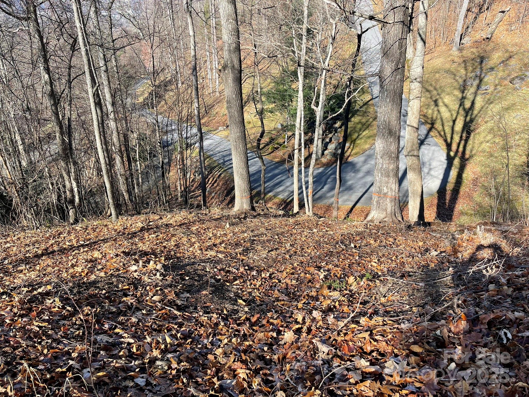 Lot at 00 Weatherwatch Lane, Waynesville, photo 8 of 10