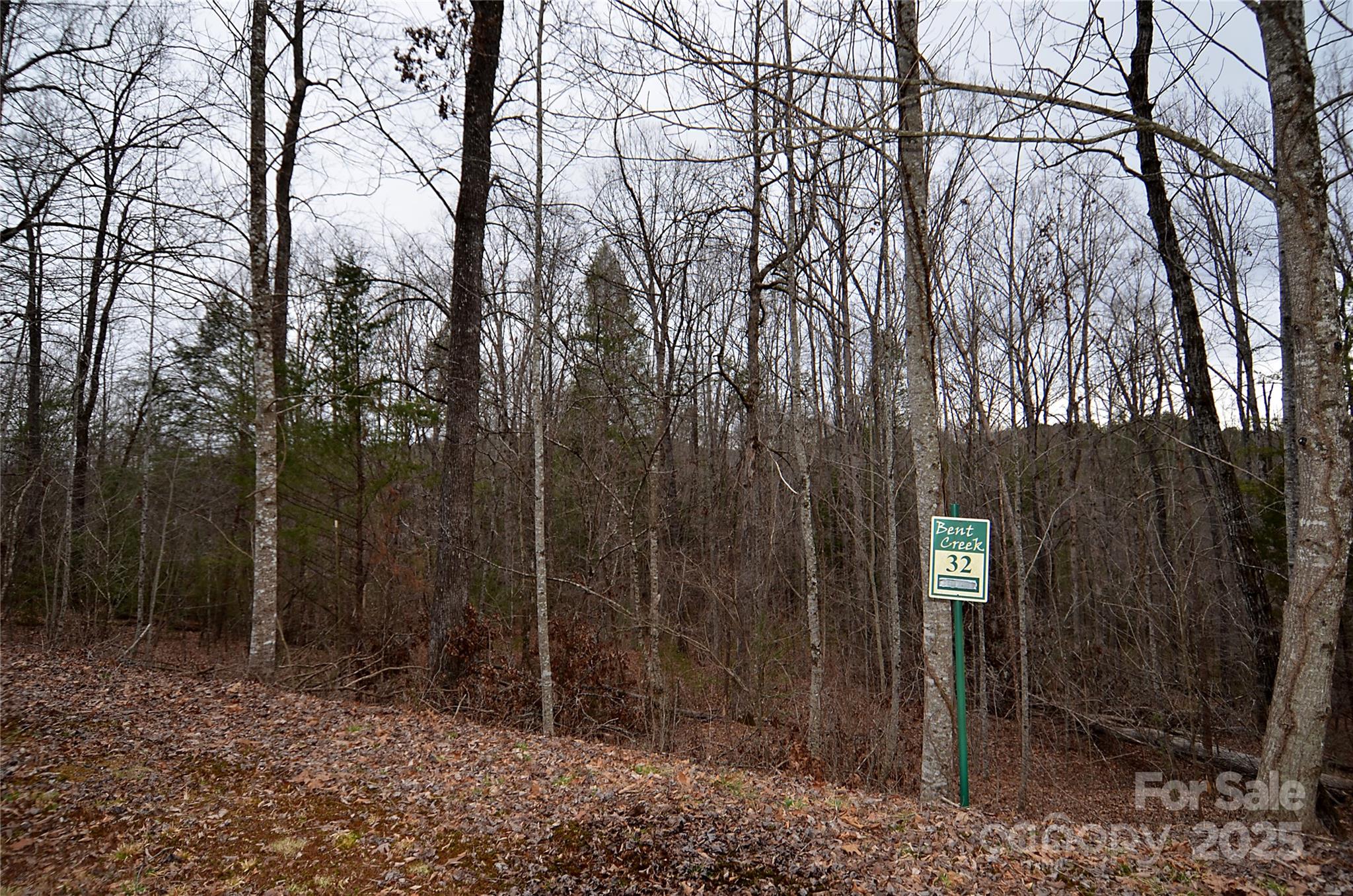 Lot at V/L #32 Bent Creek Drive, Nebo, photo 3 of 7