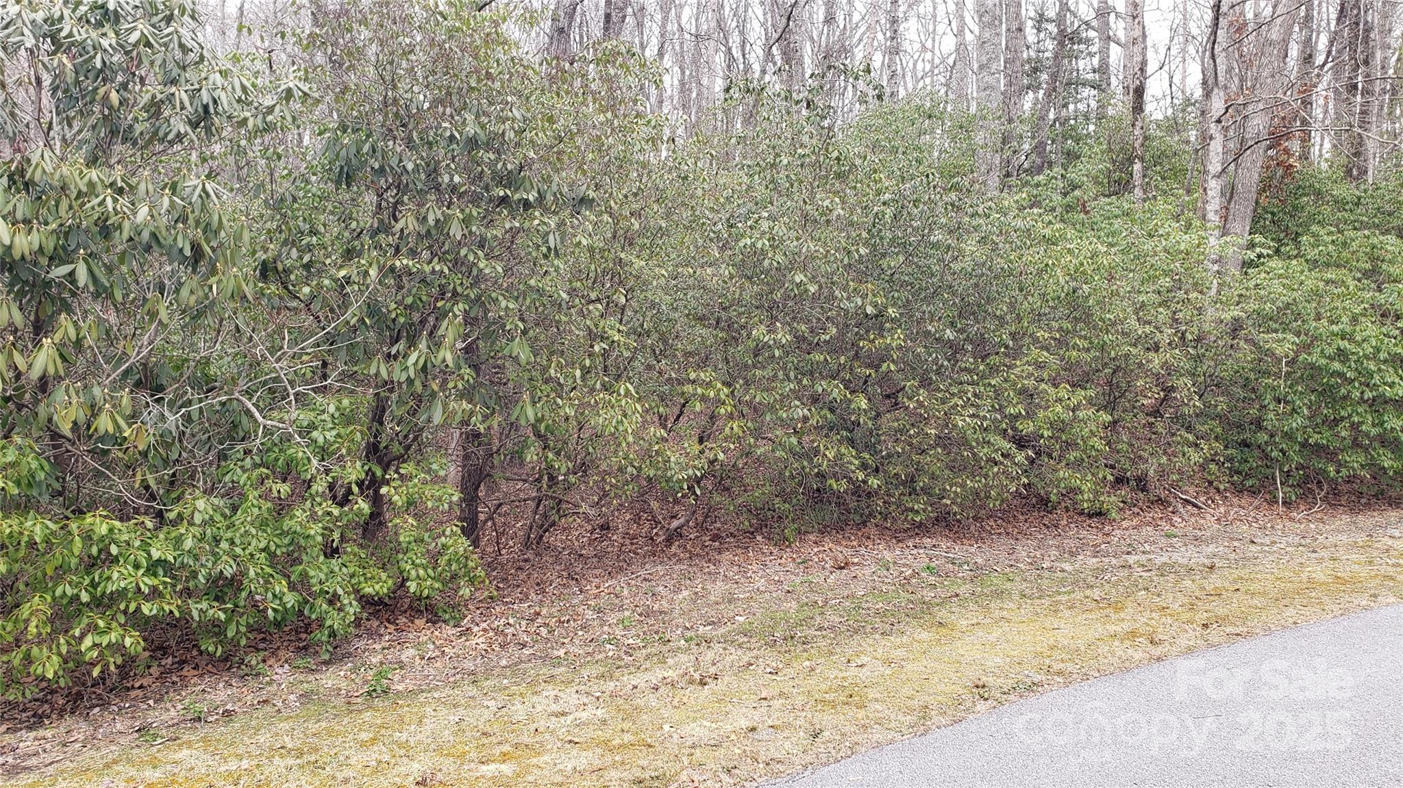 Lot at 9999 Gagama Court, Brevard, photo 3 of 11