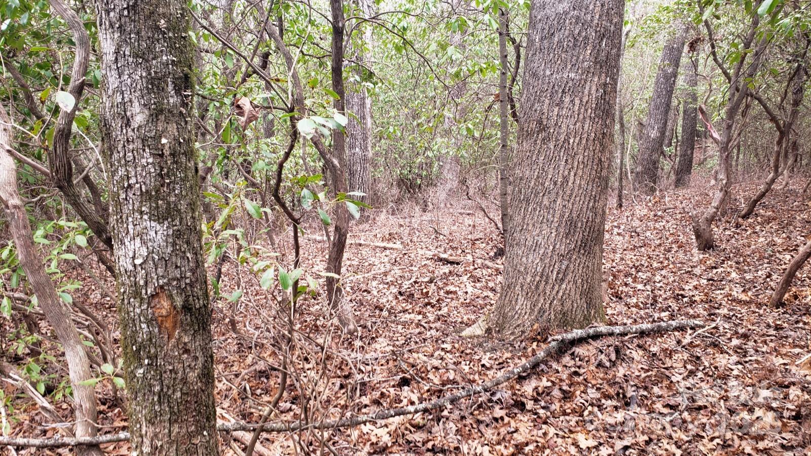 Lot at 9999 Gagama Court, Brevard, photo 10 of 11