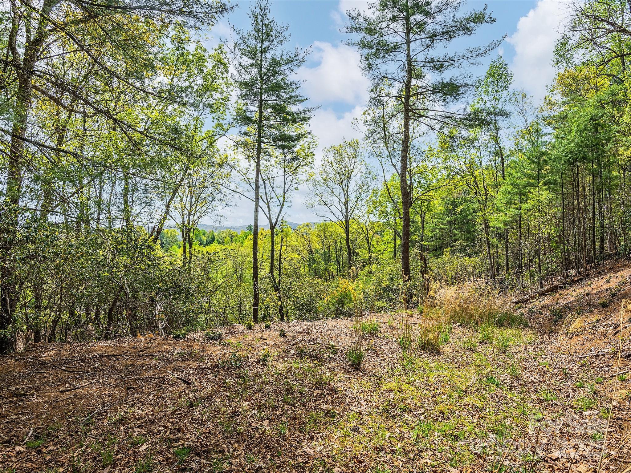 Lot #56 Winterberry Drive