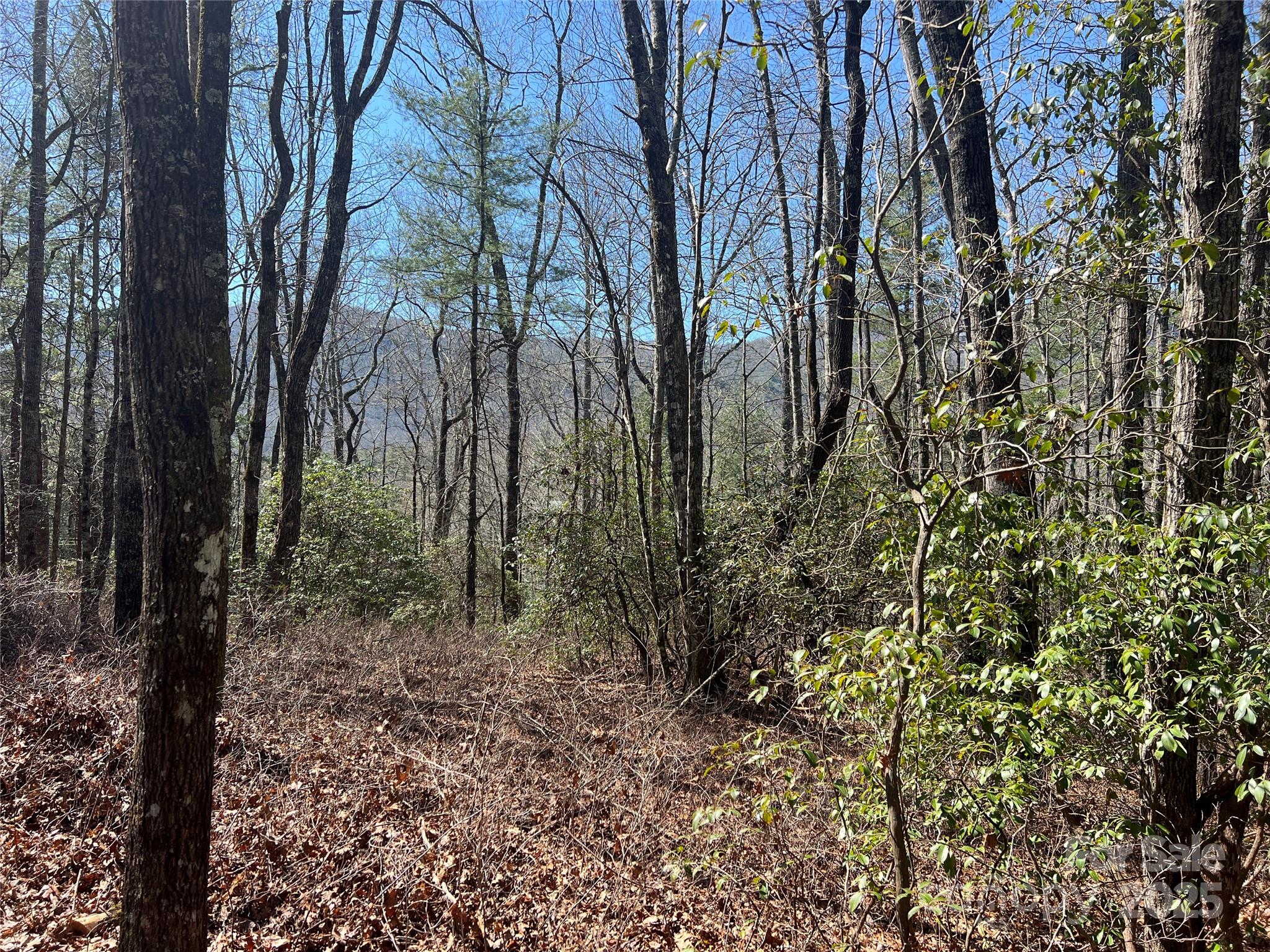 Lot at TBD Panther Ridge Road, Lake Toxaway, photo 3 of 15