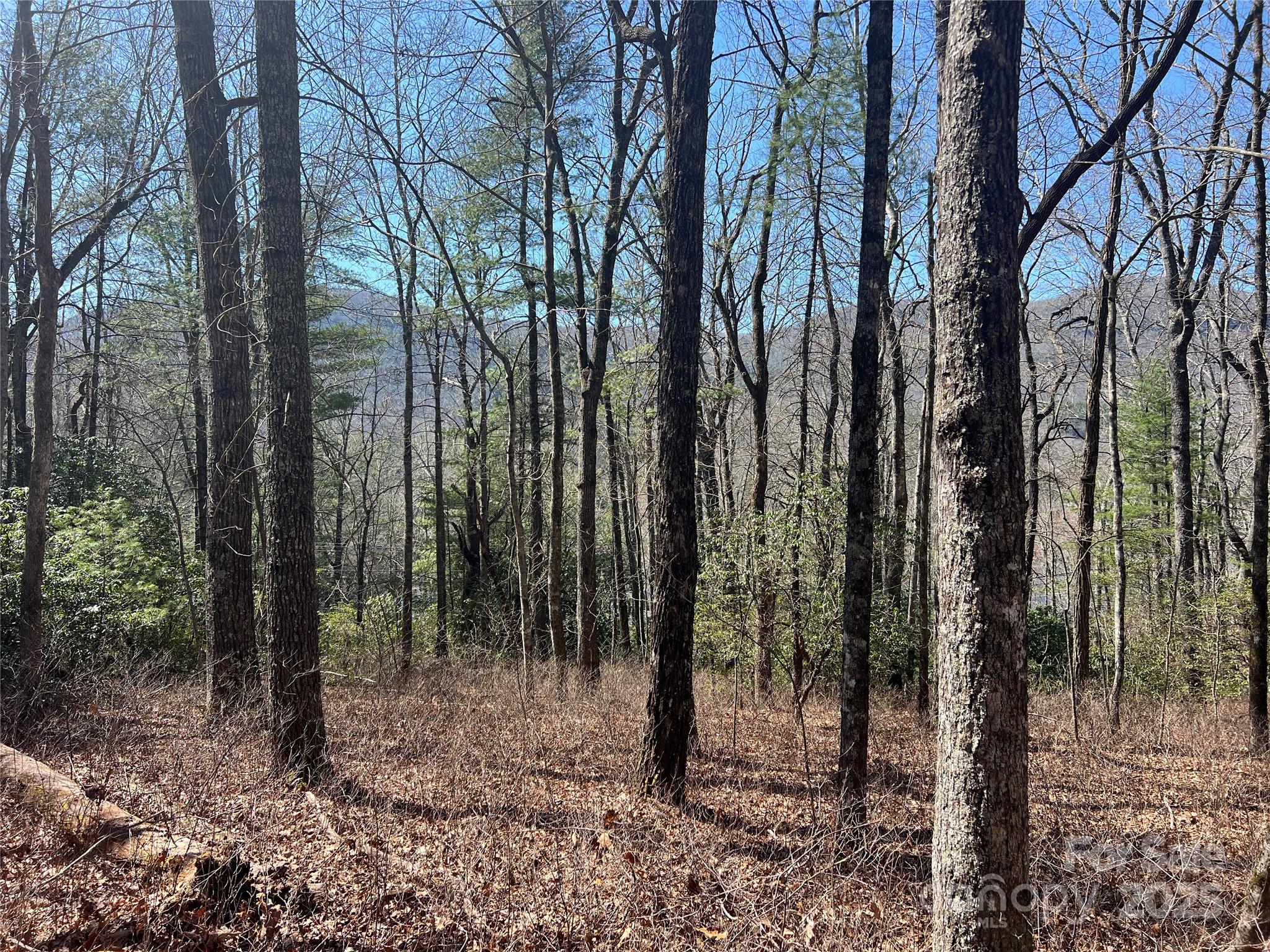 Lot at TBD Panther Ridge Road, Lake Toxaway, photo 5 of 15