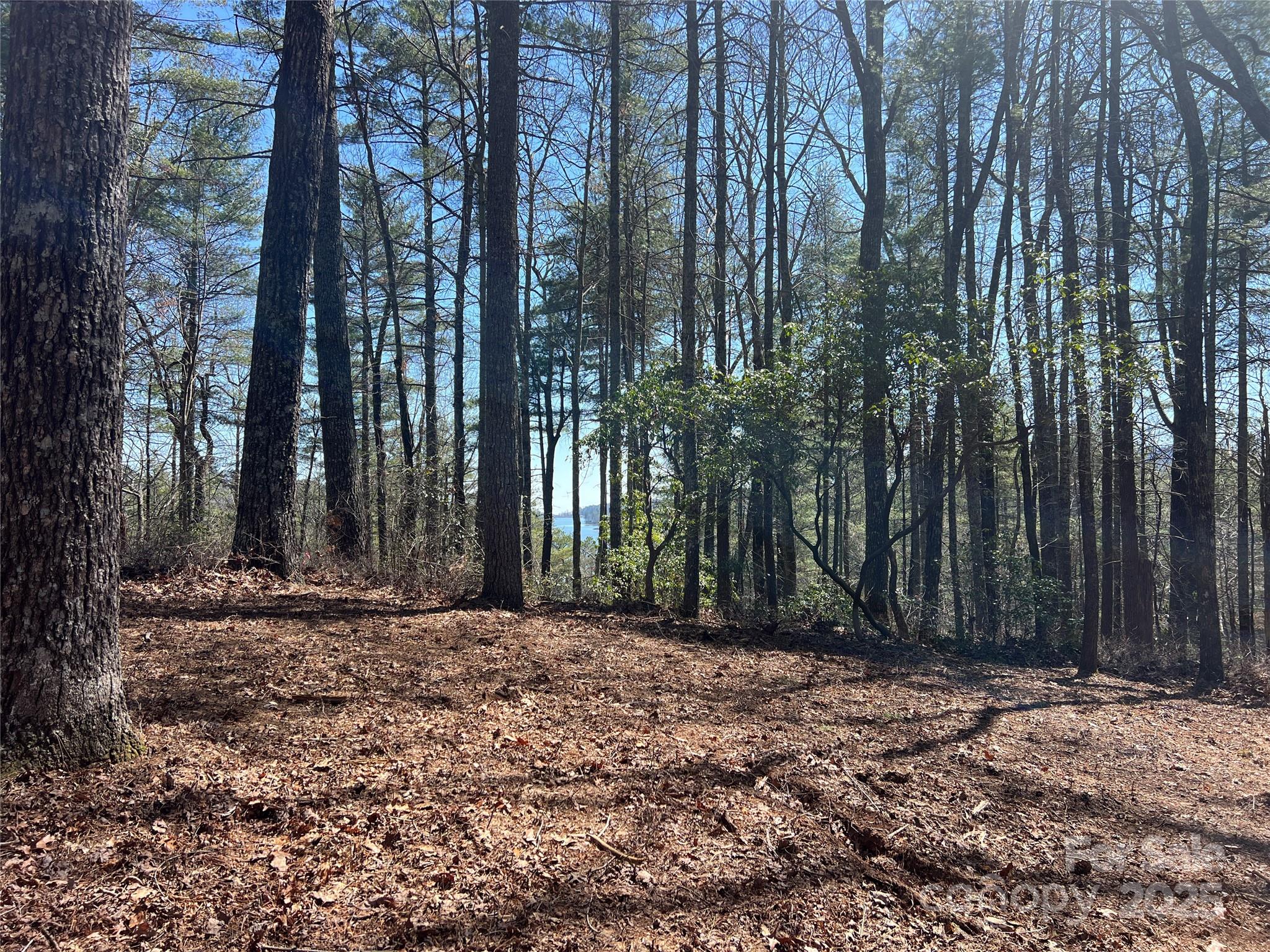 Lot at TBD Panther Ridge Road, Lake Toxaway, photo 7 of 15