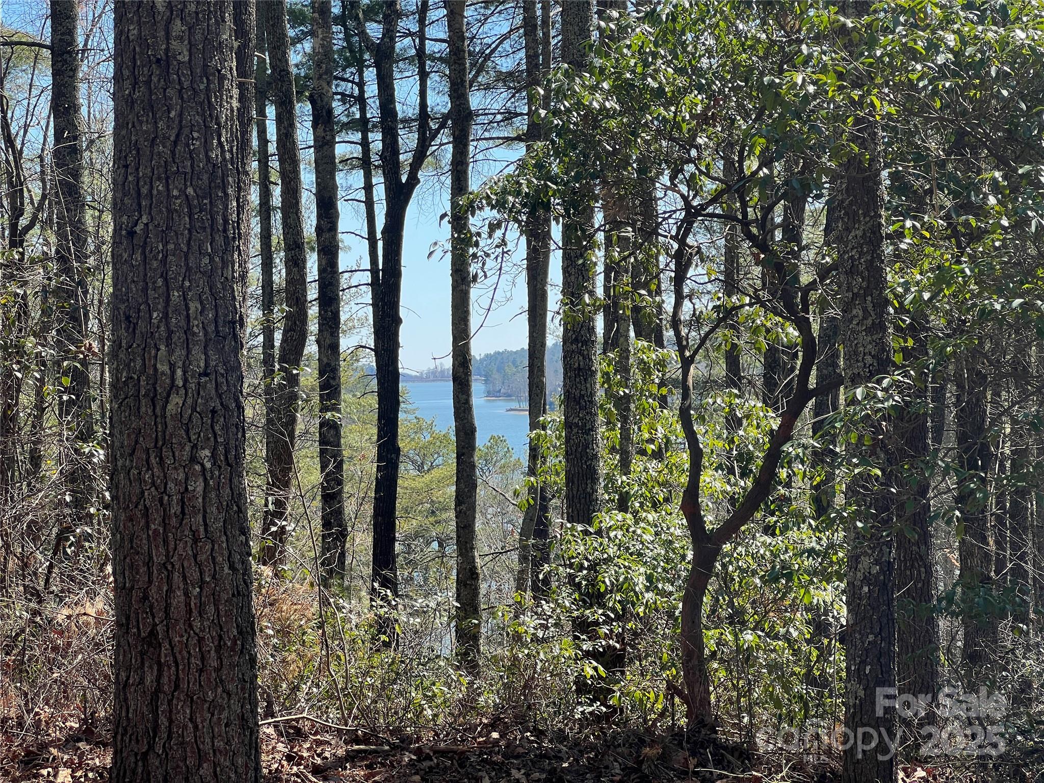 Lot at TBD Panther Ridge Road, Lake Toxaway, photo 8 of 15