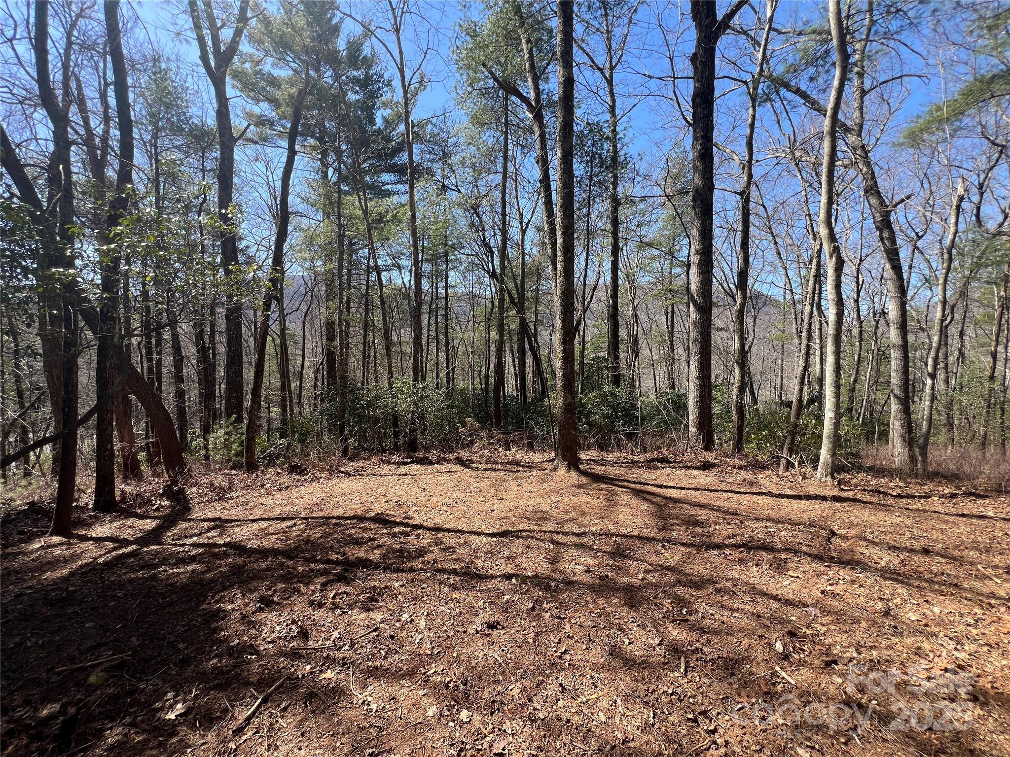 Lot at TBD Panther Ridge Road, Lake Toxaway, photo 10 of 15