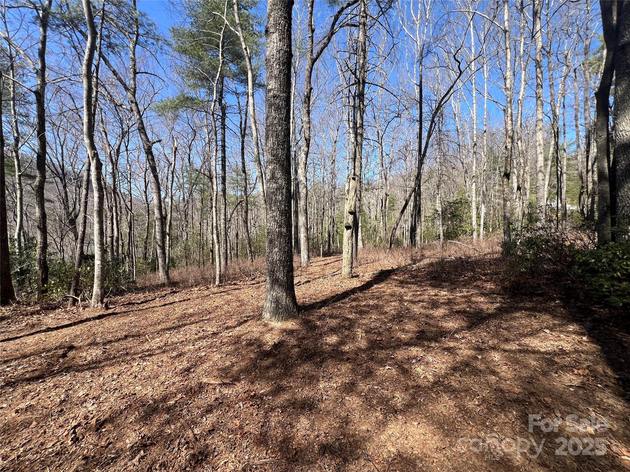 Lot at TBD Panther Ridge Road, Lake Toxaway, photo 11 of 15