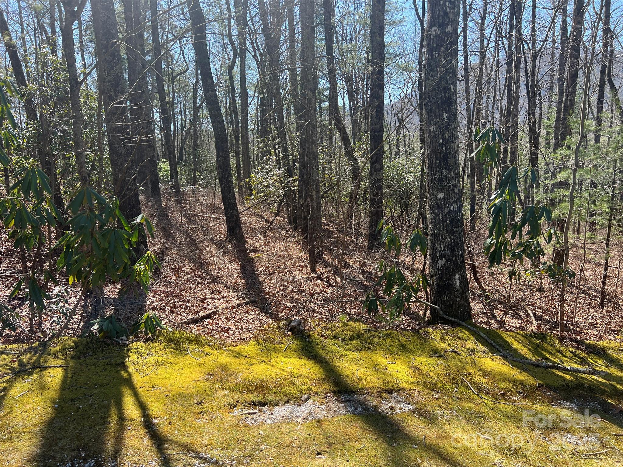 Lot at TBD Panther Ridge Road, Lake Toxaway, photo 14 of 15