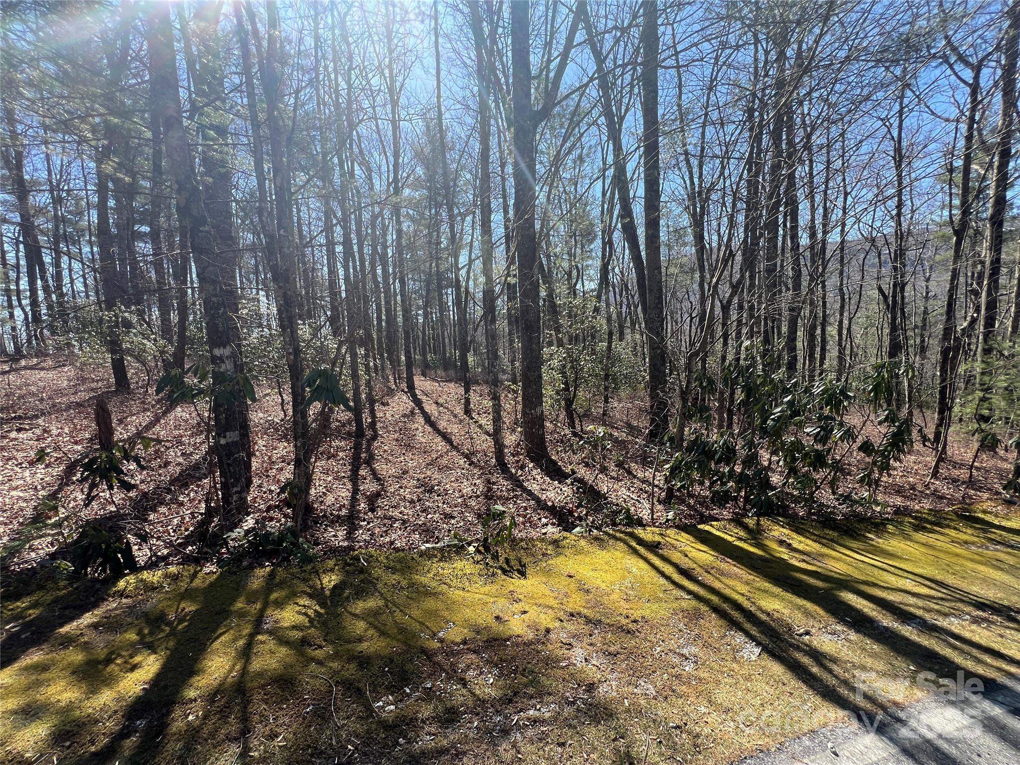 Lot at TBD Panther Ridge Road, Lake Toxaway, photo 15 of 15