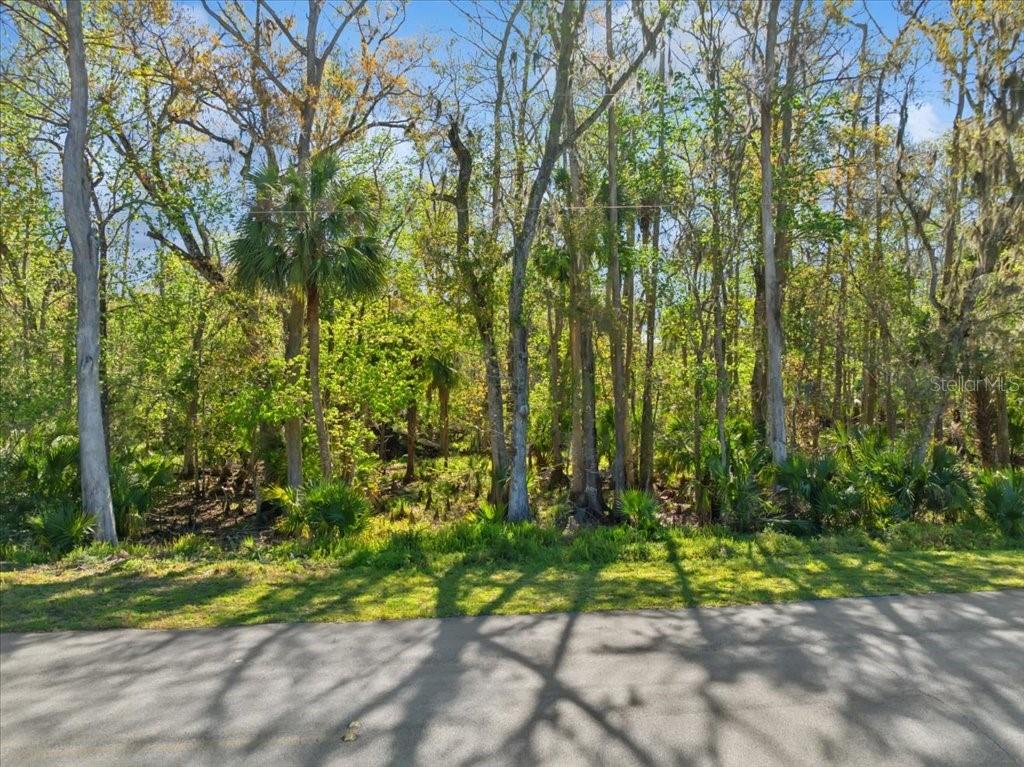 138 BLARE DR