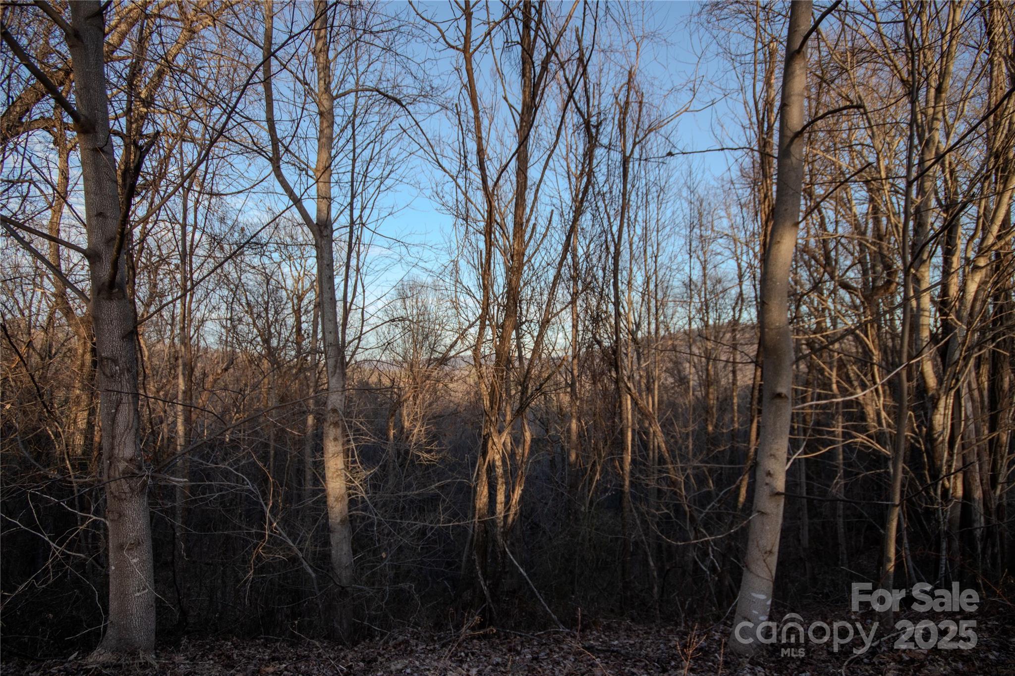 Lot# 22 Autumn Ridge