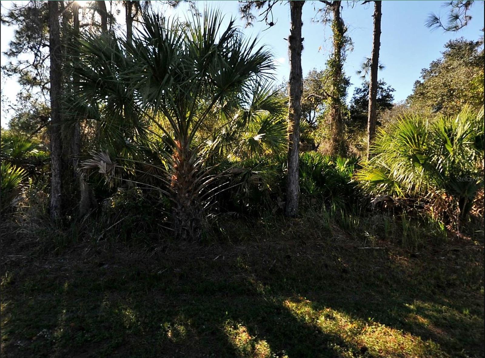 LOT 17 RUIZ ST