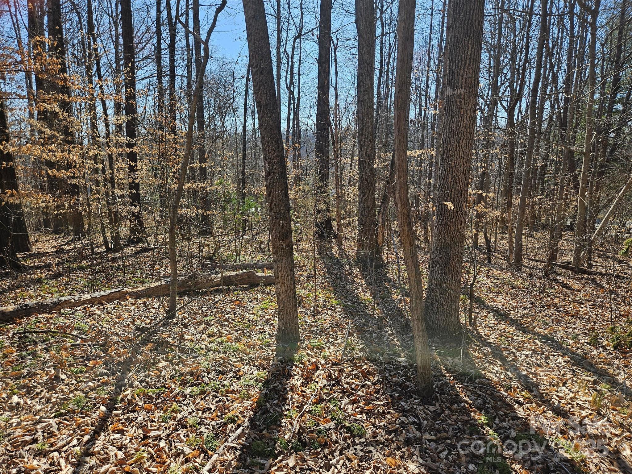 Lot at 0 General Griffith Circle, Rutherfordton, photo 4 of 15