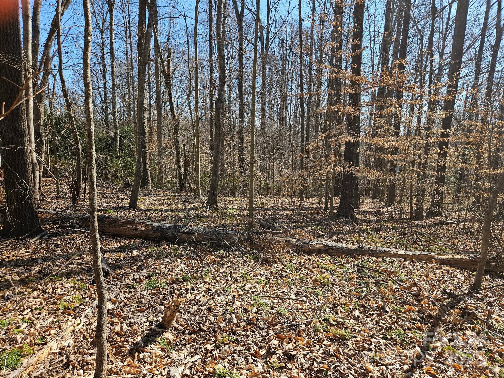 Lot at 0 General Griffith Circle, Rutherfordton, photo 5 of 15