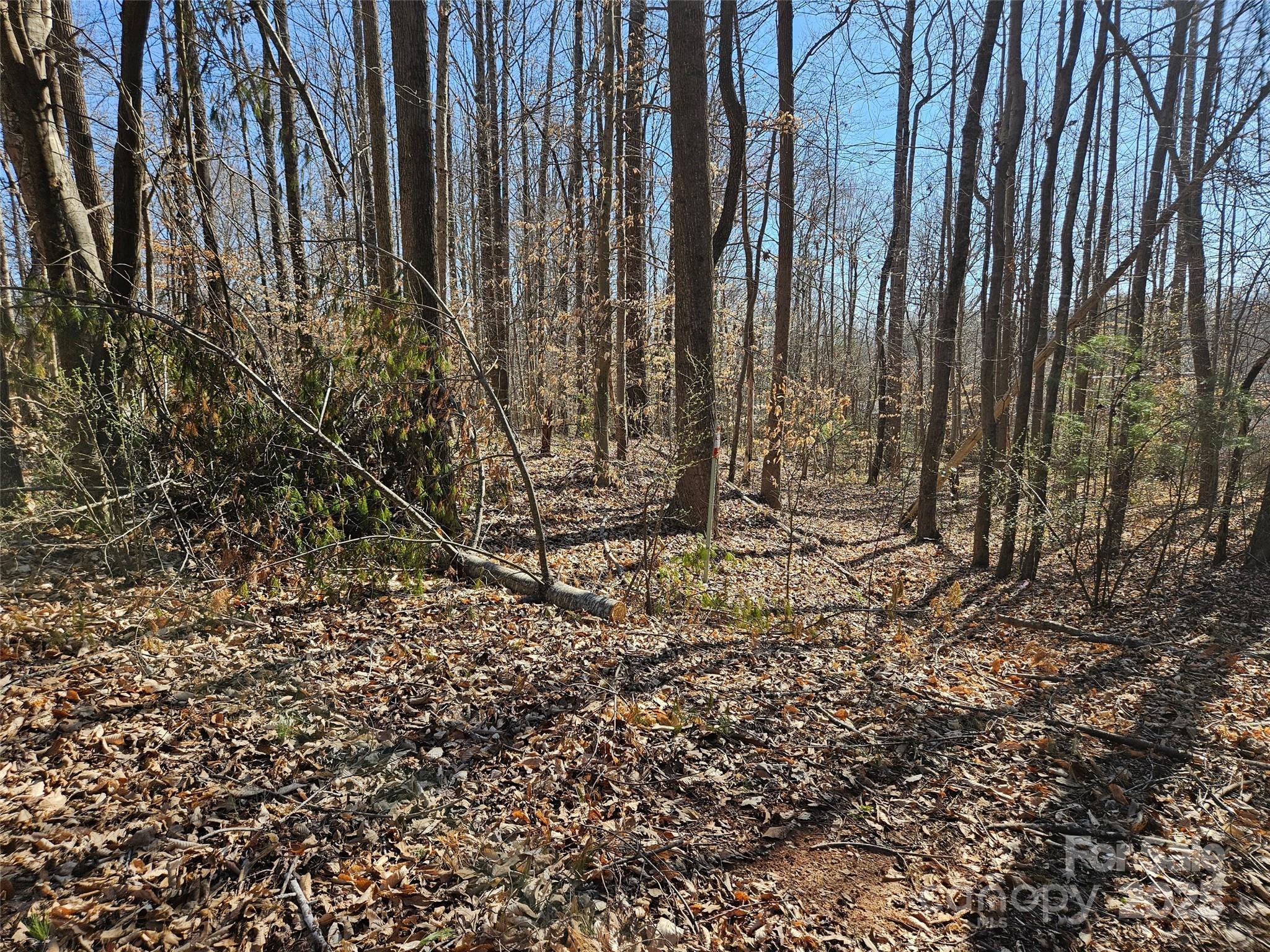 Lot at 0 General Griffith Circle, Rutherfordton, photo 6 of 15