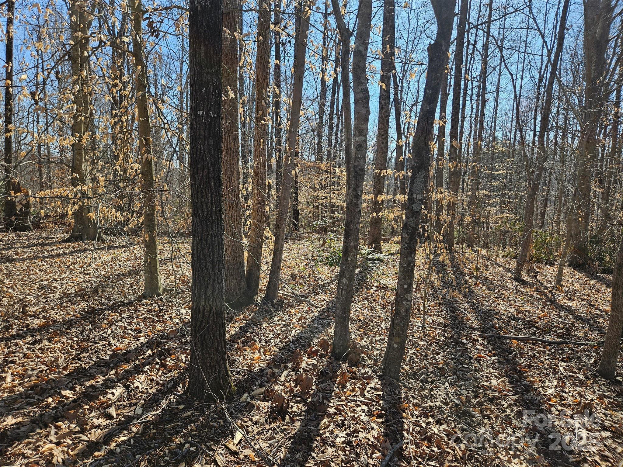 Lot at 0 General Griffith Circle, Rutherfordton, photo 7 of 15