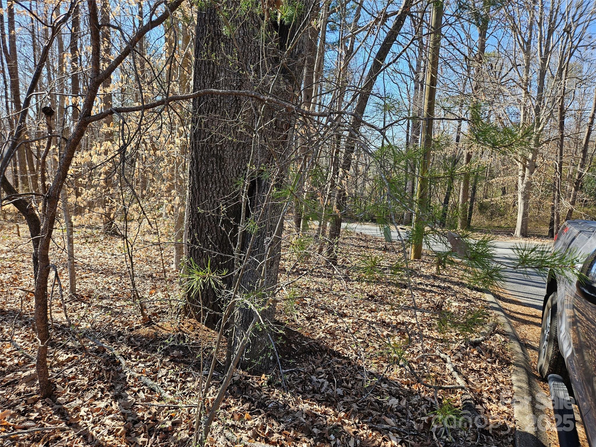 Lot at 0 General Griffith Circle, Rutherfordton, photo 9 of 15