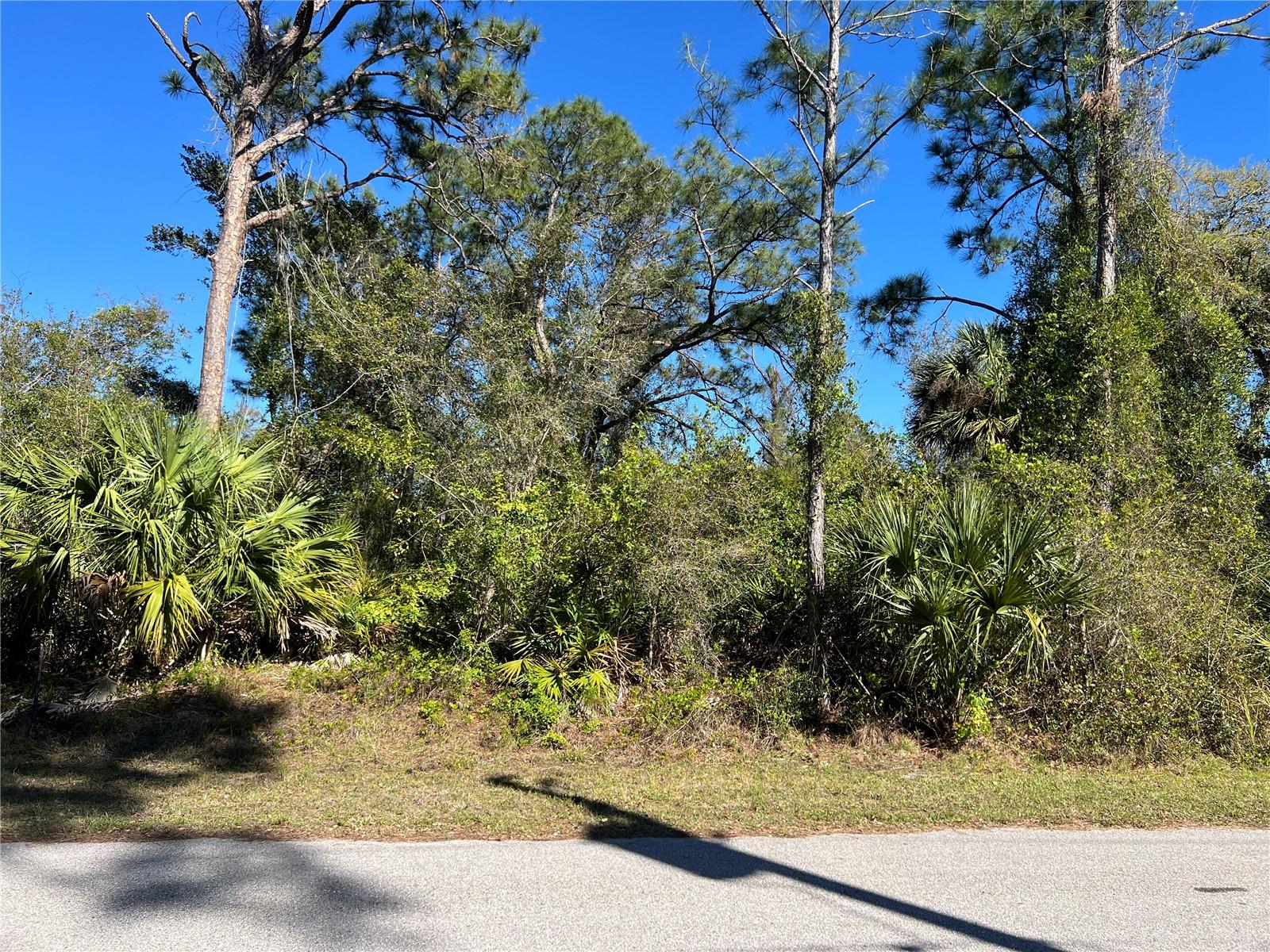Land at FEARS ST, NORTH PORT, photo 5 of 10