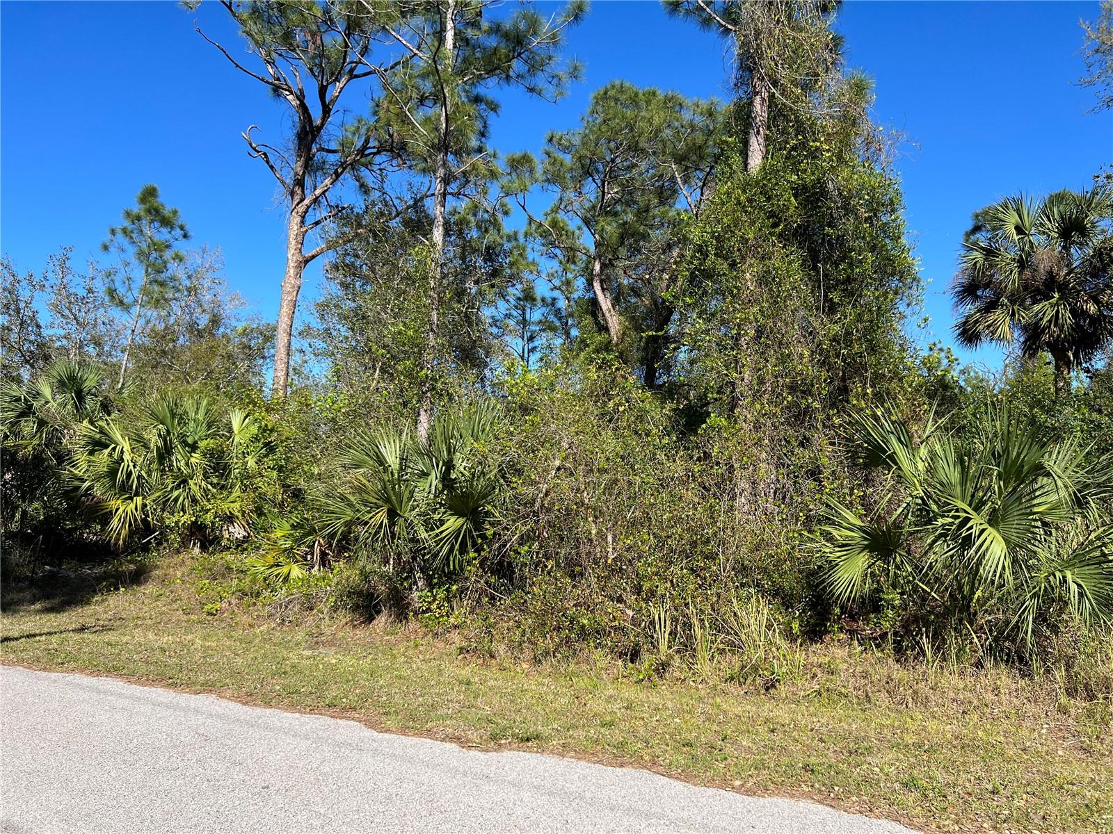 Land at FEARS ST, NORTH PORT, photo 6 of 10
