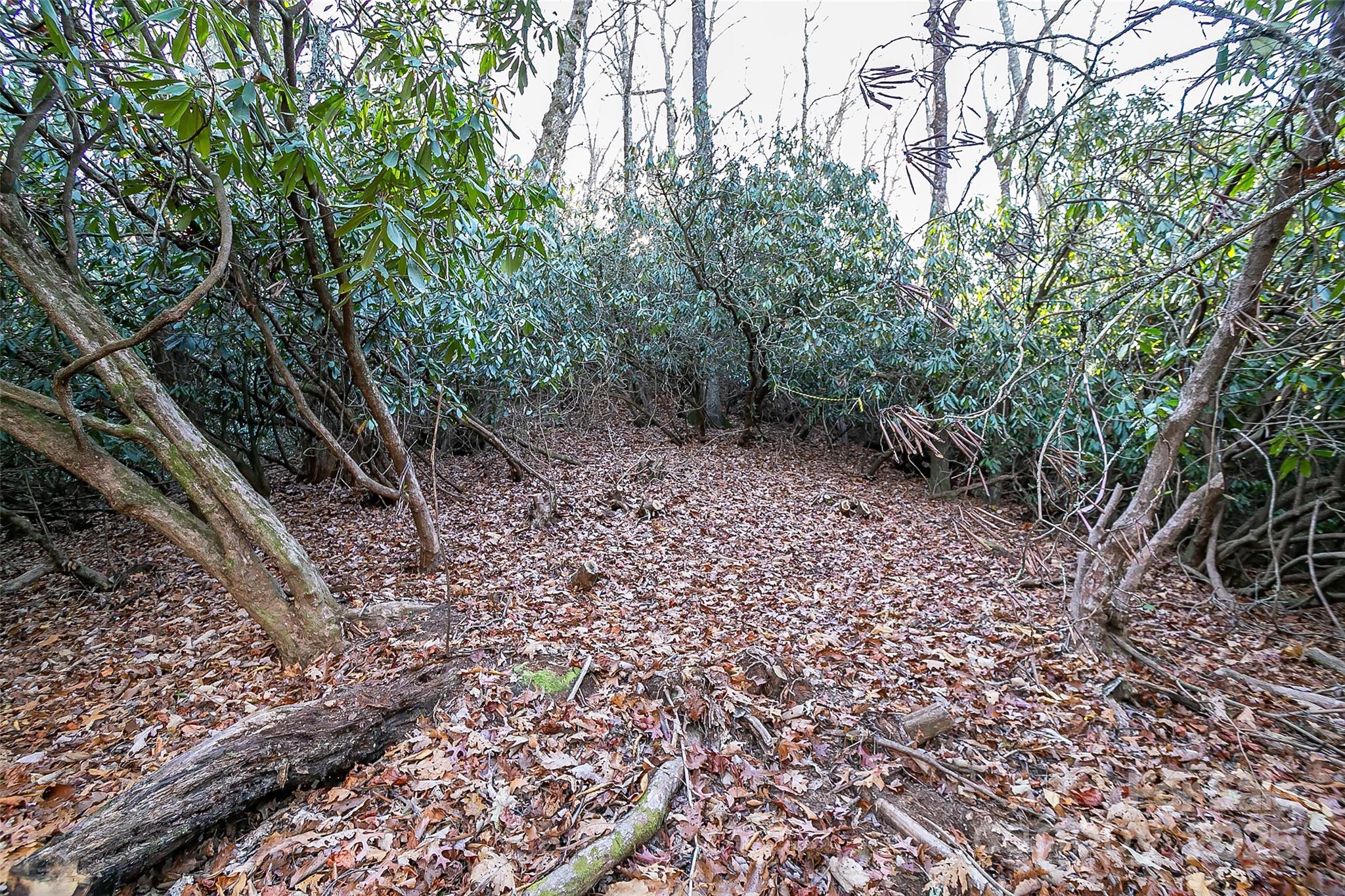 Lot at TBD Dundee Lane, Pisgah Forest, photo 2 of 10