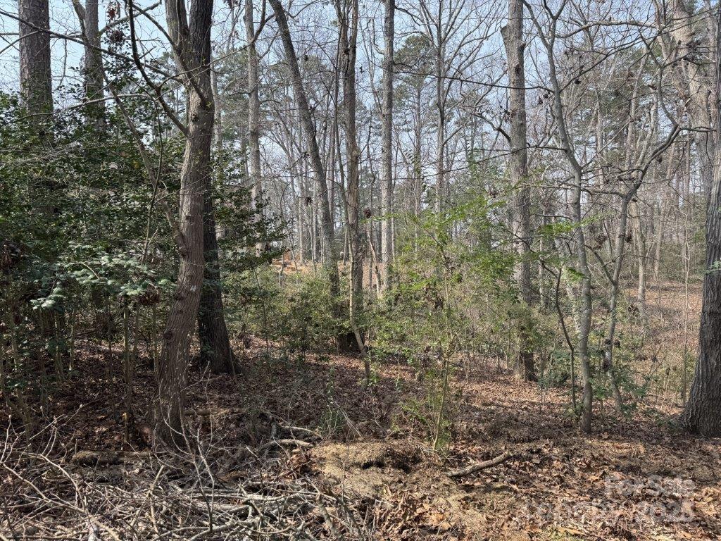 View of Lot - 441 Glenbrook Springs None, New London