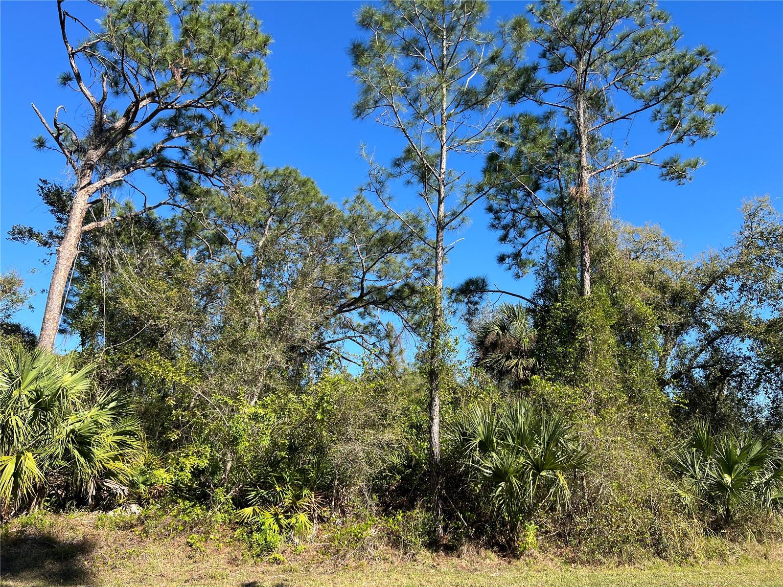 Land at FEARS ST, NORTH PORT, photo 10 of 10