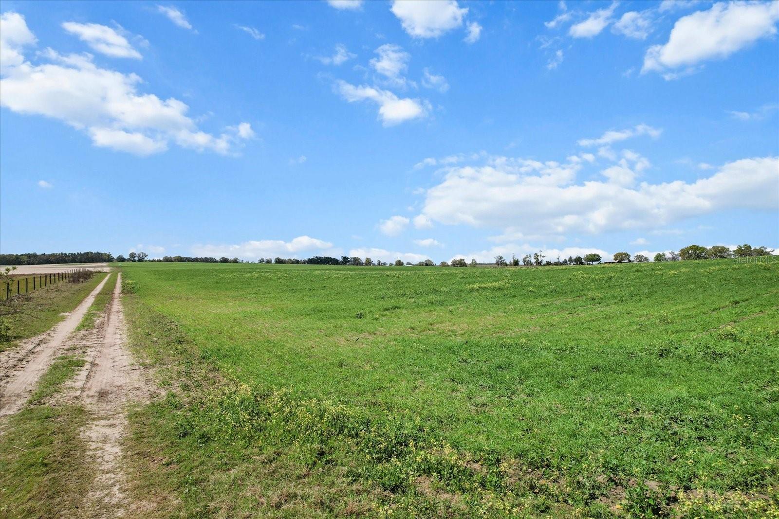 Land at (190 AC-see addt'l PID's) NW 225TH AVE, DUNNELLON, photo 6 of 20