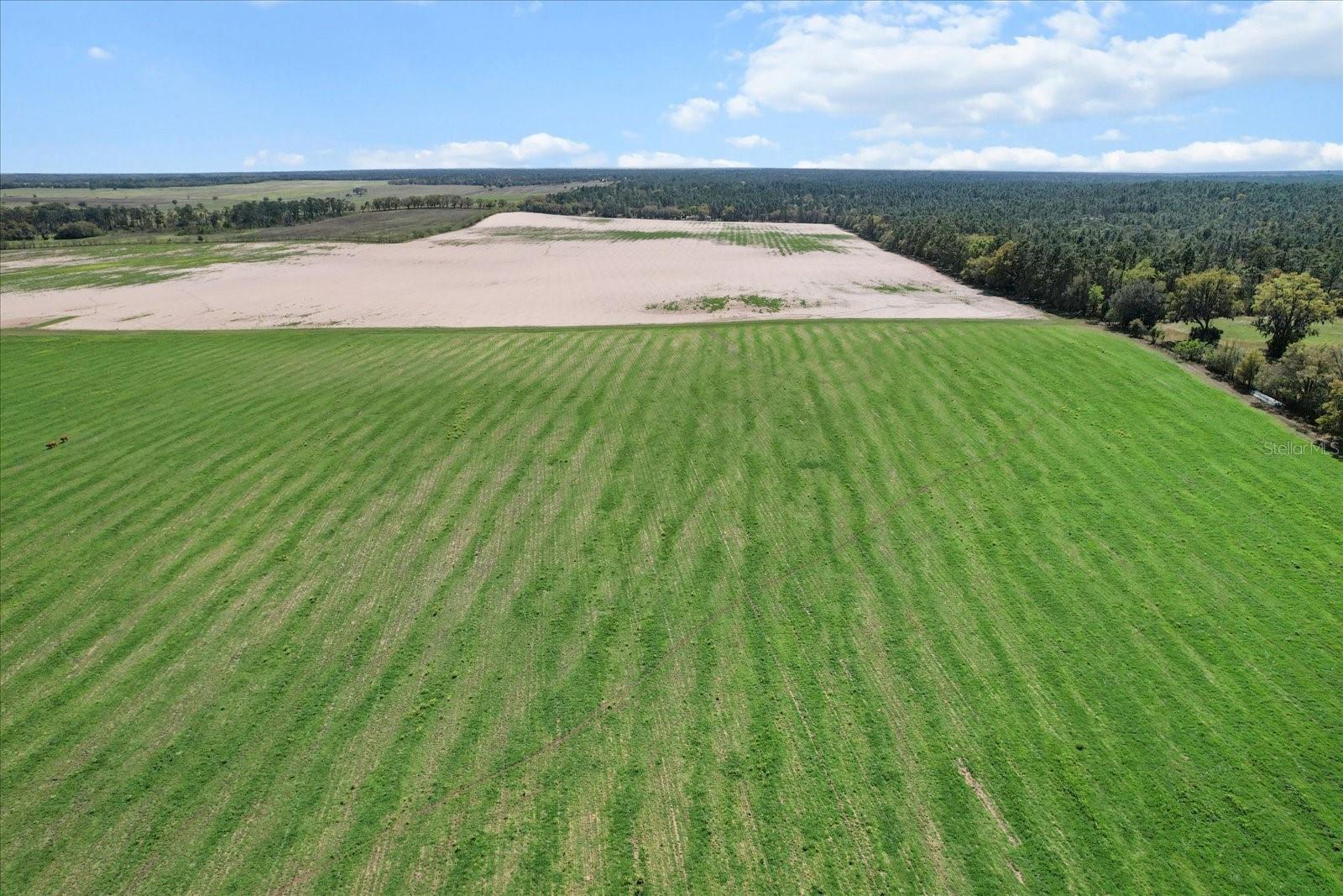 Land at (190 AC-see addt'l PID's) NW 225TH AVE, DUNNELLON, photo 9 of 20