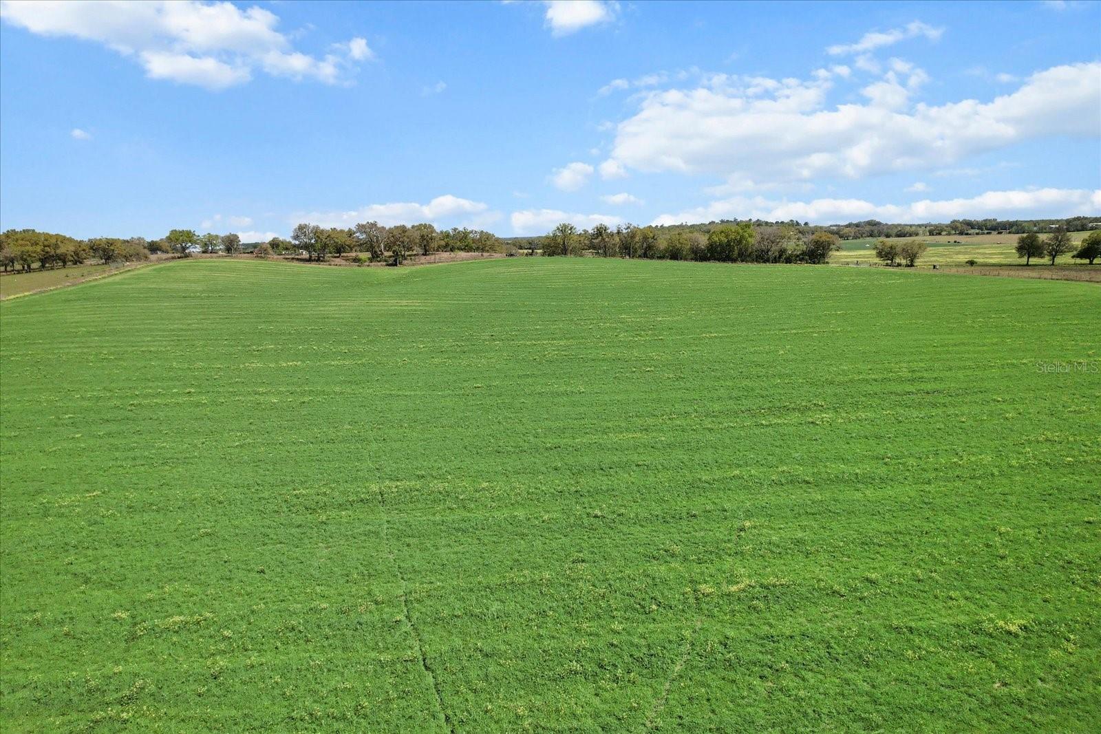 Land at (190 AC-see addt'l PID's) NW 225TH AVE, DUNNELLON, photo 12 of 20