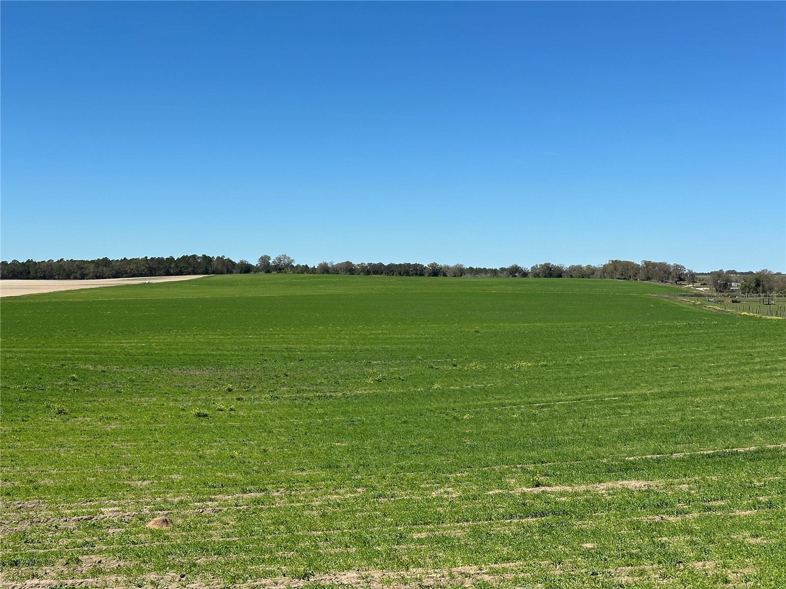 Land at (190 AC-see addt'l PID's) NW 225TH AVE, DUNNELLON, photo 3 of 20