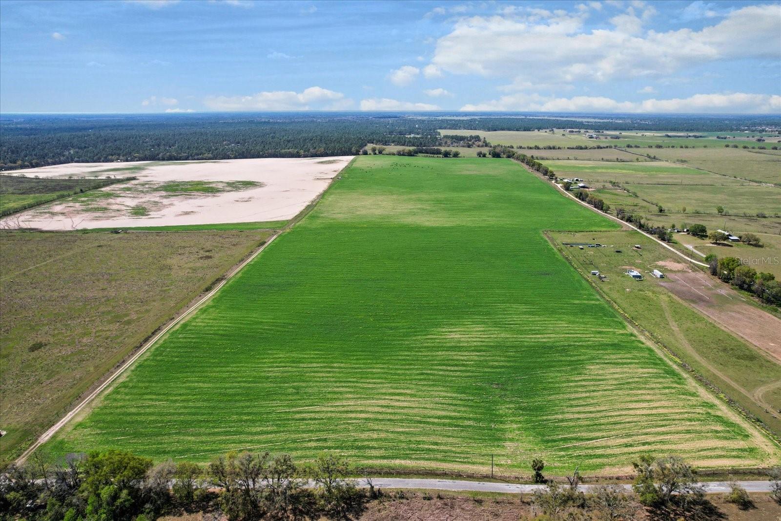 Land at (190 AC-see addt'l PID's) NW 225TH AVE, DUNNELLON, photo 2 of 20