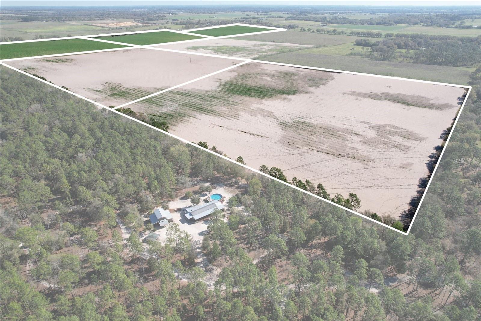 Land at (190 AC-see addt'l PID's) NW 225TH AVE, DUNNELLON, photo 16 of 20