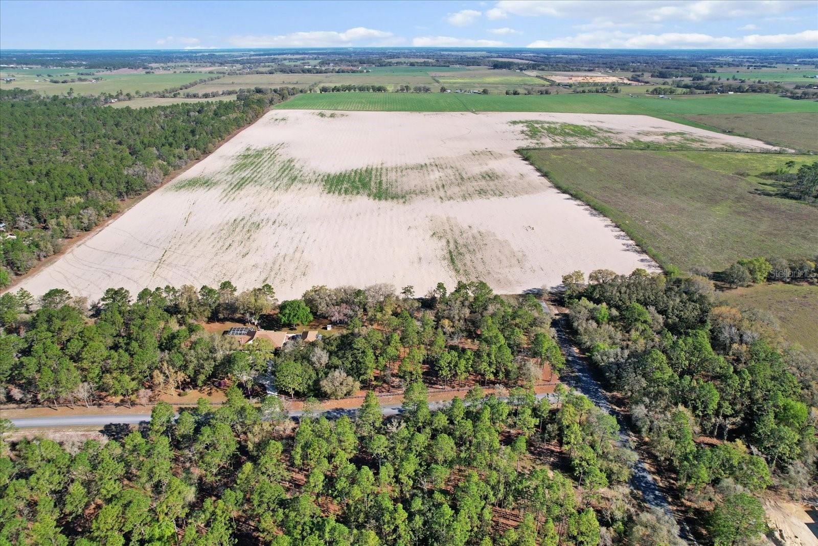 Land at (190 AC-see addt'l PID's) NW 225TH AVE, DUNNELLON, photo 18 of 20