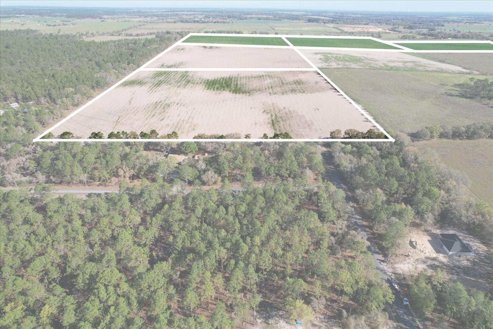 Land at (190 AC-see addt'l PID's) NW 225TH AVE, DUNNELLON, photo 20 of 20