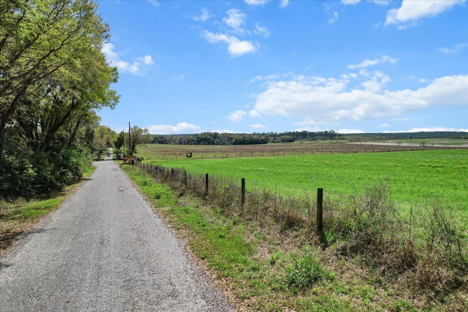 Land at (190 AC-see addt'l PID's) NW 225TH AVE, DUNNELLON, photo 4 of 20