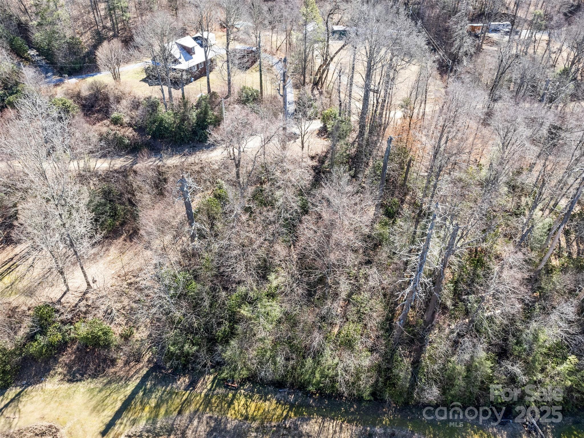 Lot at Lot 5 Spruce Flats Road, Maggie Valley, photo 3 of 13