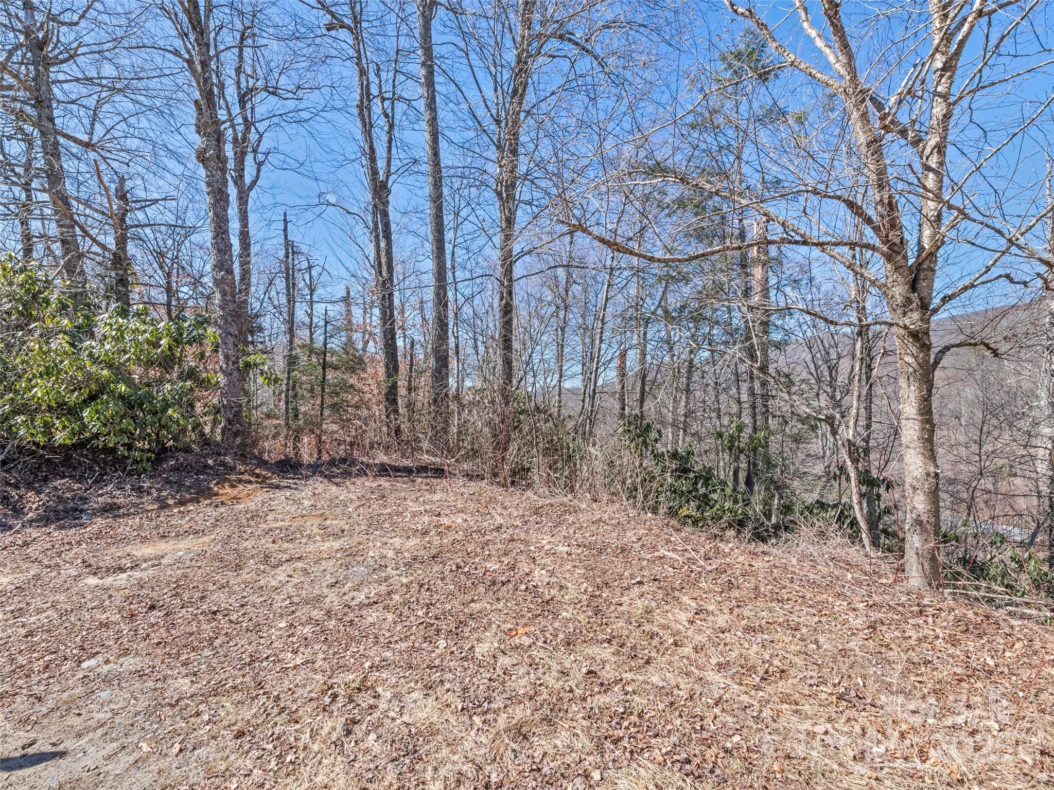 Lot at Lot 5 Spruce Flats Road, Maggie Valley, photo 8 of 13