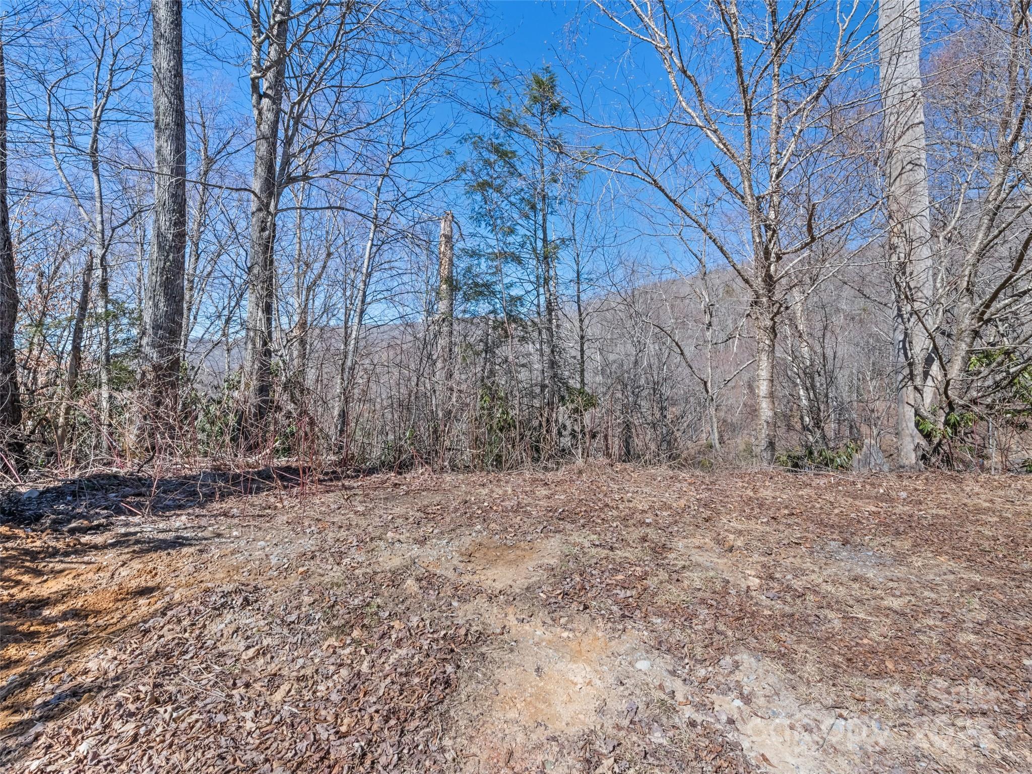 Lot at Lot 5 Spruce Flats Road, Maggie Valley, photo 9 of 13