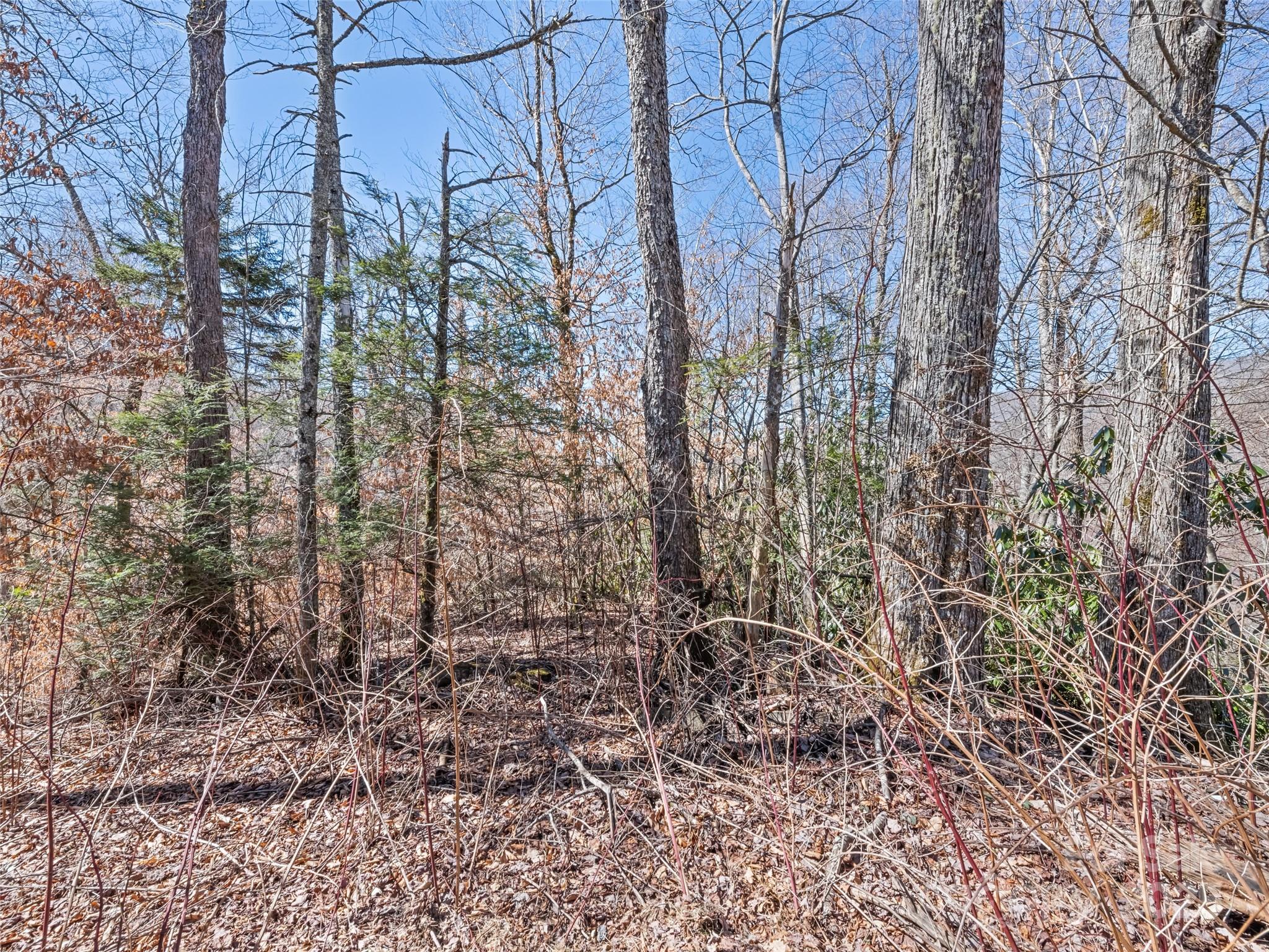 Lot at Lot 5 Spruce Flats Road, Maggie Valley, photo 10 of 13