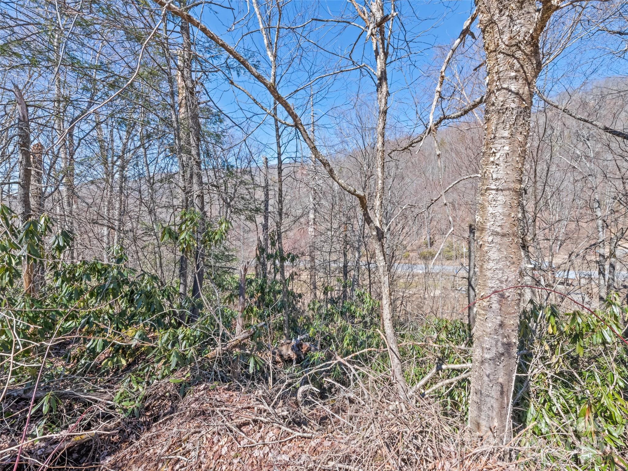 Lot at Lot 5 Spruce Flats Road, Maggie Valley, photo 11 of 13