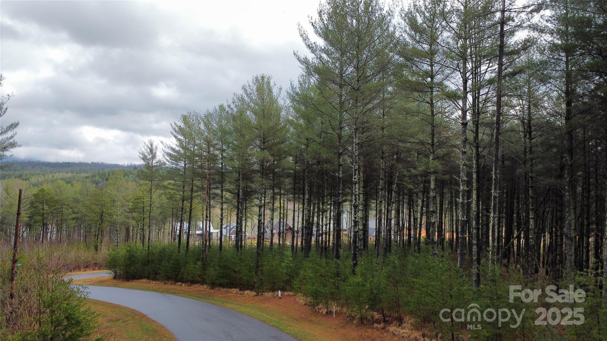 Lot at 26 Peninsula Reserve Road, Nebo, photo 4 of 20