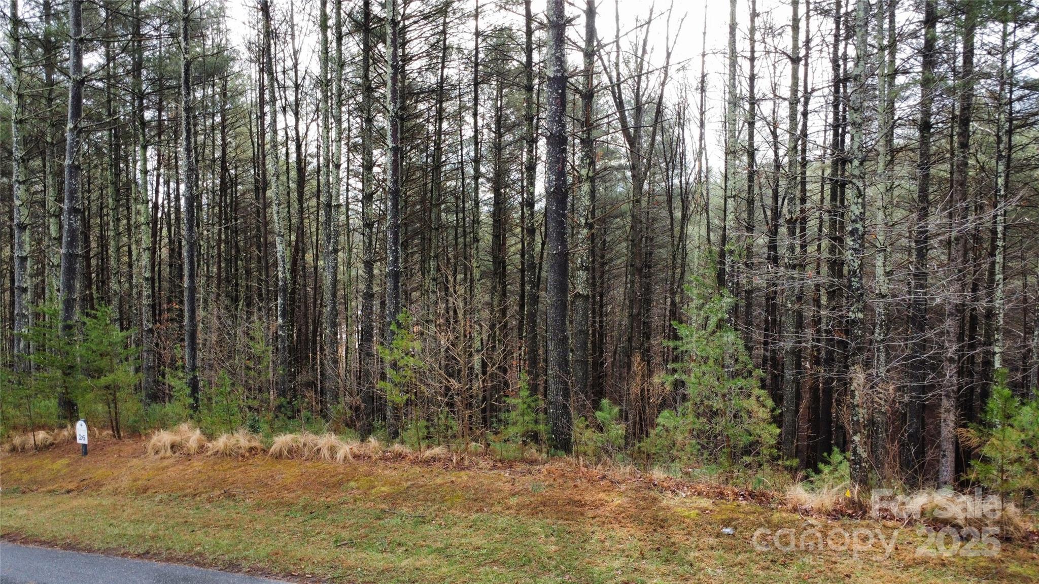 Lot at 26 Peninsula Reserve Road, Nebo, photo 9 of 20