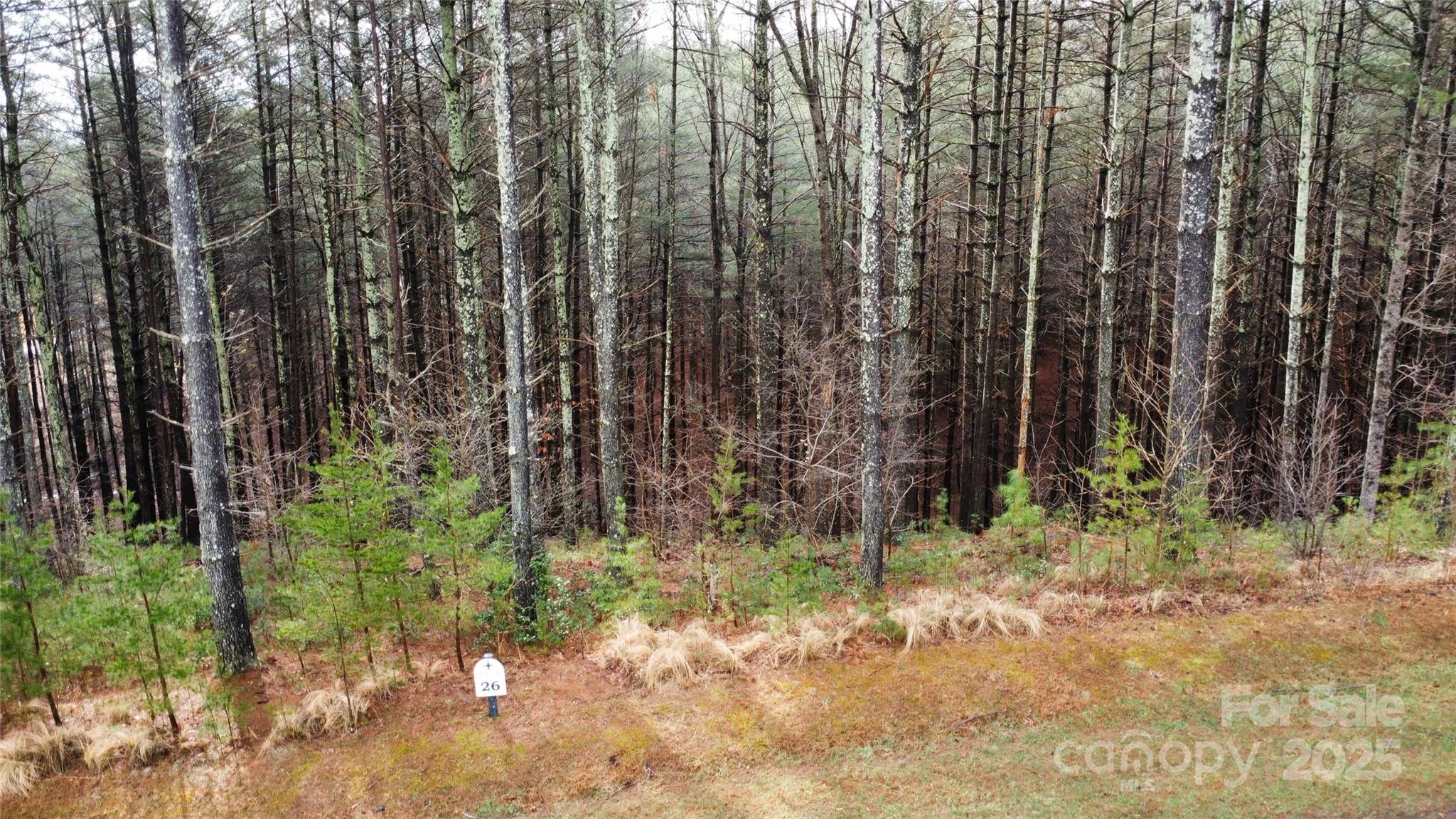 Lot at 26 Peninsula Reserve Road, Nebo, photo 10 of 20